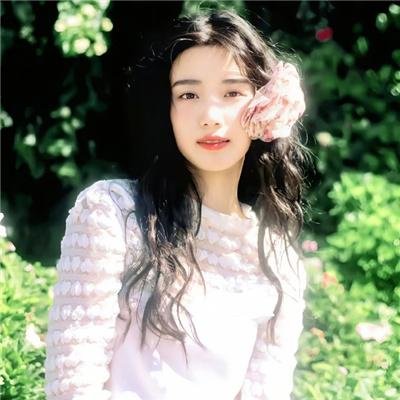 金鹰宝藏